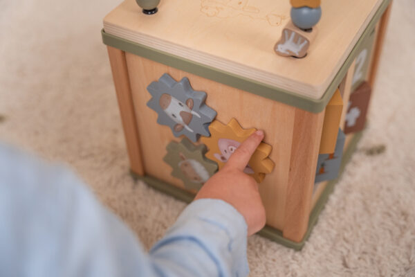 Activity Cube Little Farm FSC